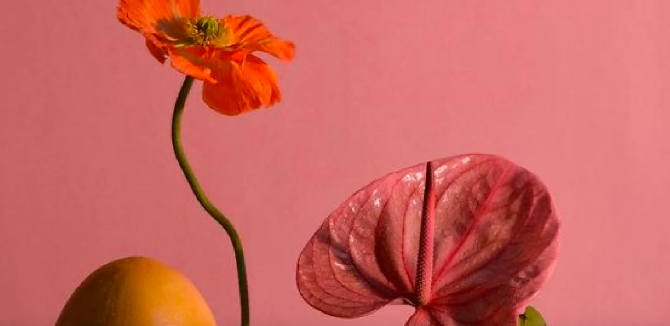 What are Top 6 Signs of High Fertility in Women? - Arva Health