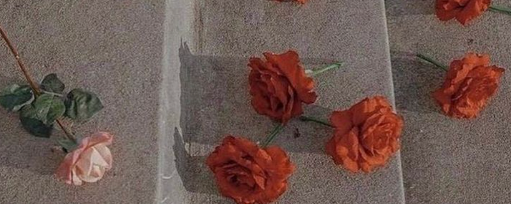 IVF Costs in Whitefield: Comprehensive Breakdown and Expert Insights