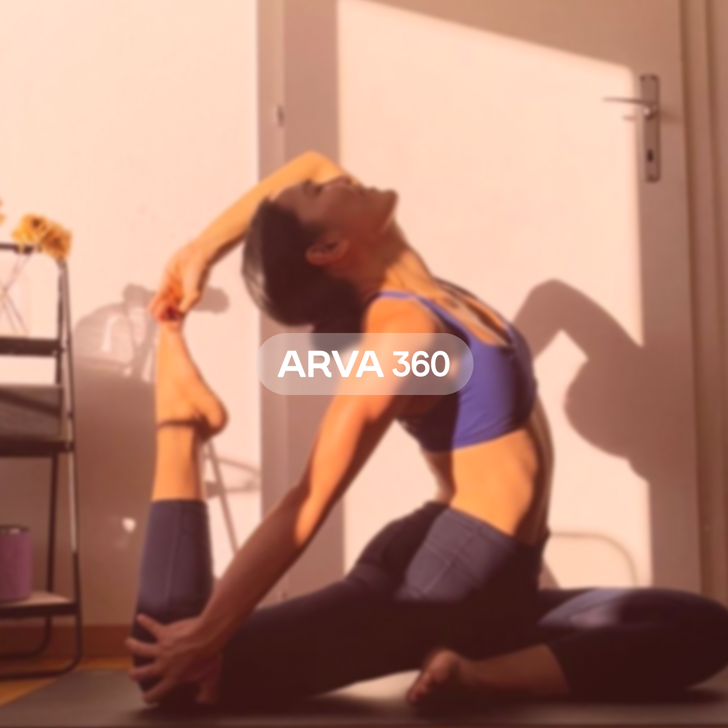 Arva360: Fertility Health Program
