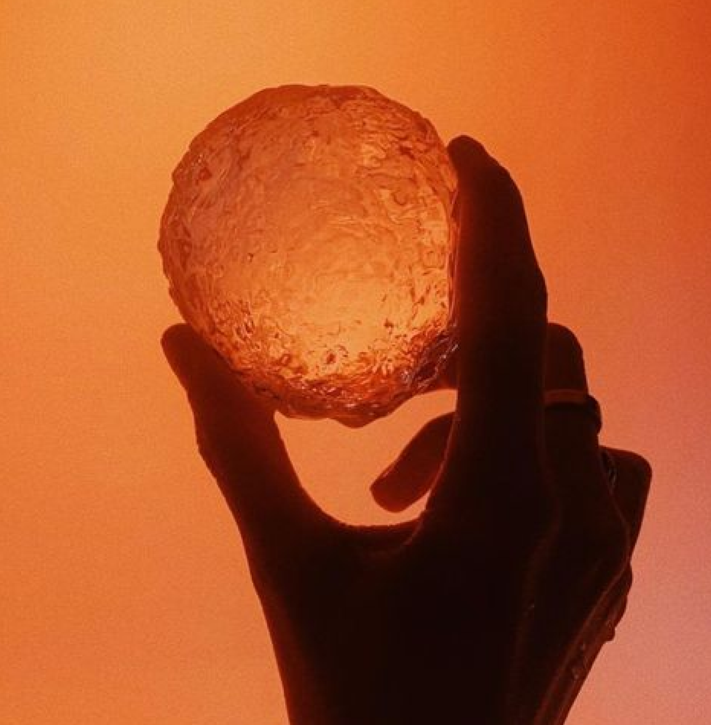 Registration: Egg Freezing