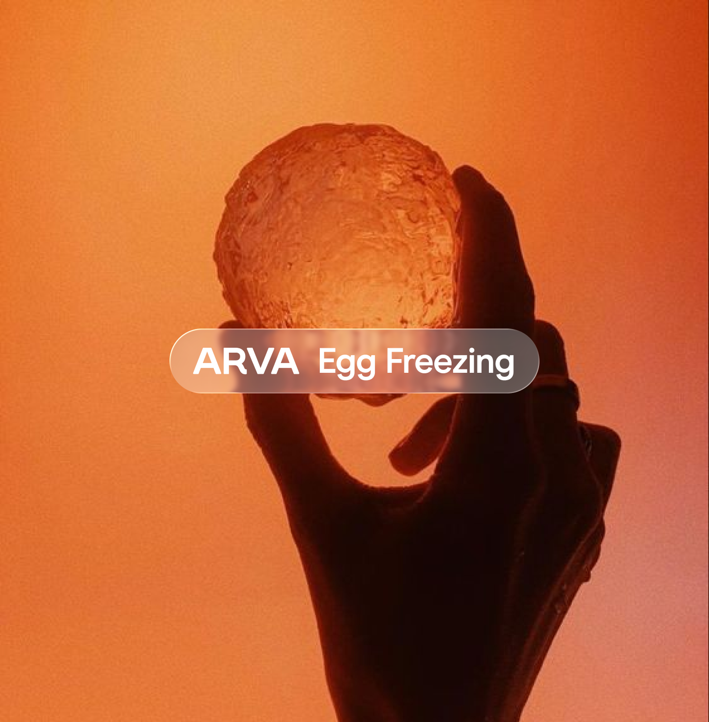 Registration: Egg Freezing