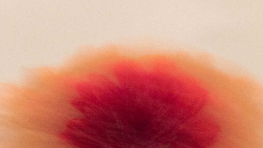 Early Signs of Conception: What to Look for When Trying to Conceive
