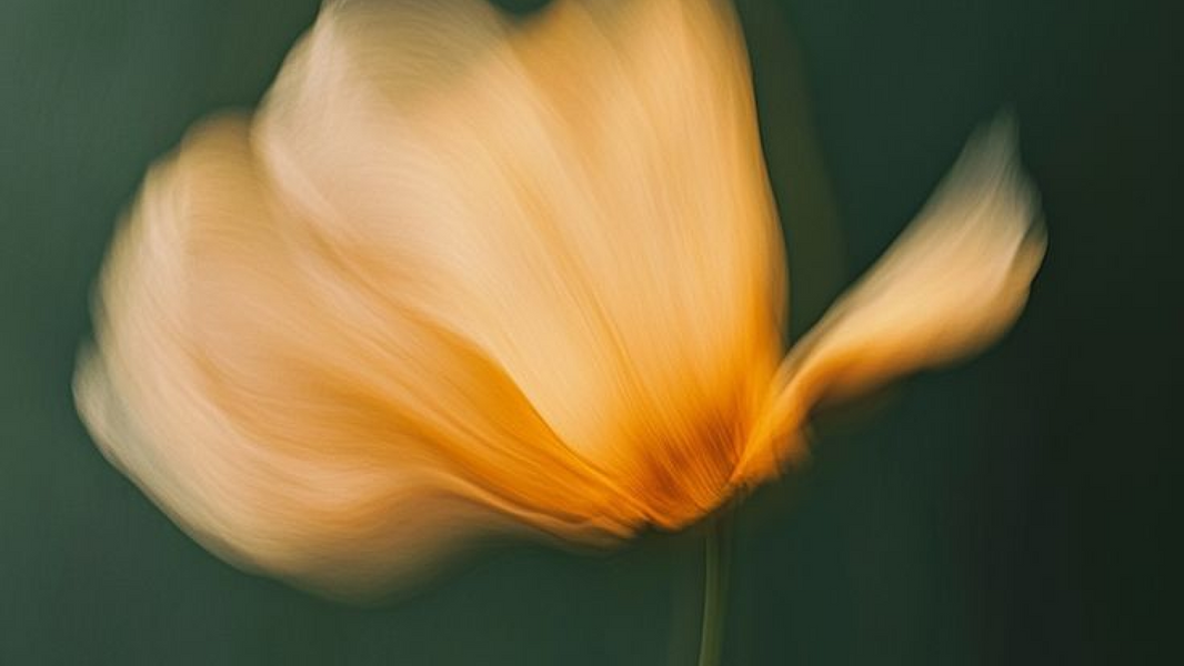 Egg Rupture But Not Conceived: Why Ovulation Doesn't Always Lead to Pregnancy