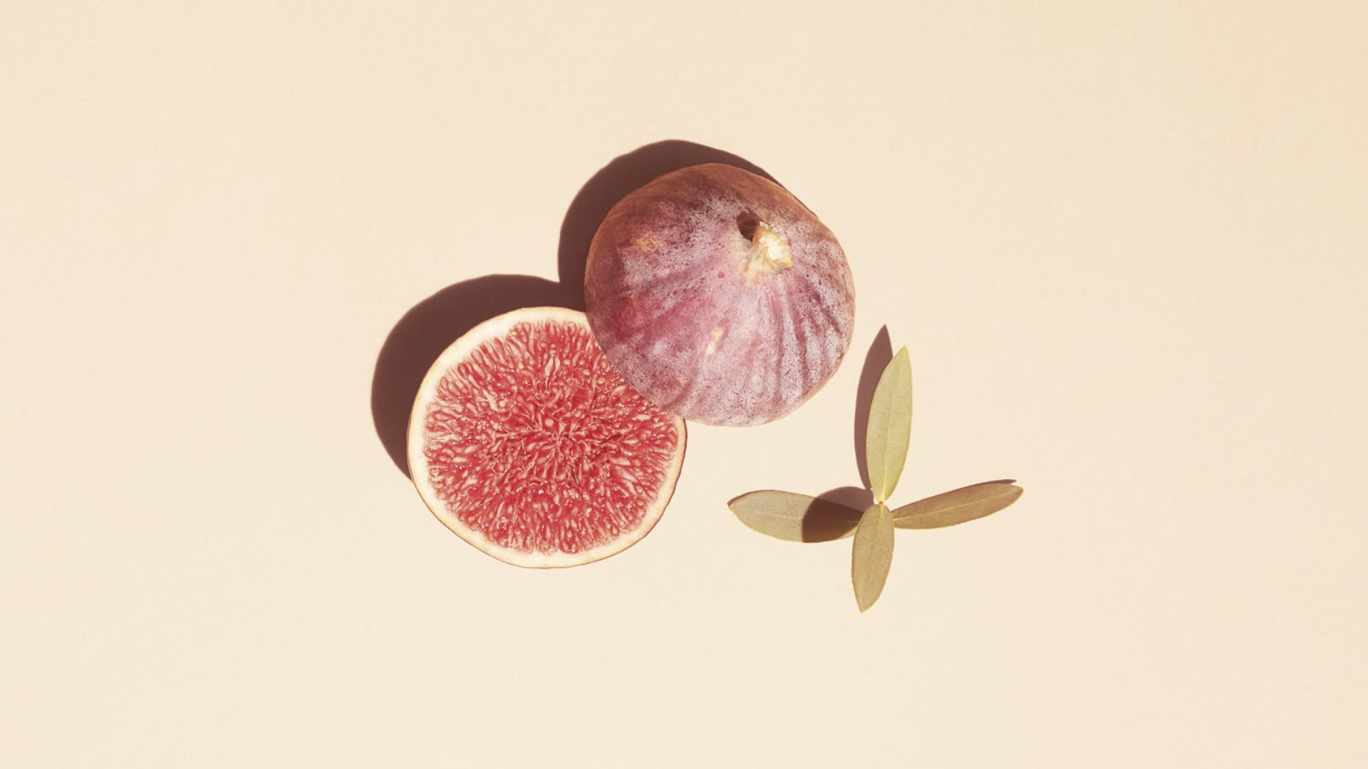 IVF Full Form: Complete Guide to In Vitro Fertilization