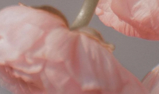 IVF Success Rates on the First Attempt: Factors and Tips for Better Outcomes