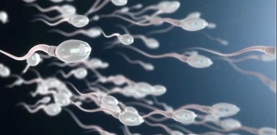 What is a Semen Analysis Test?