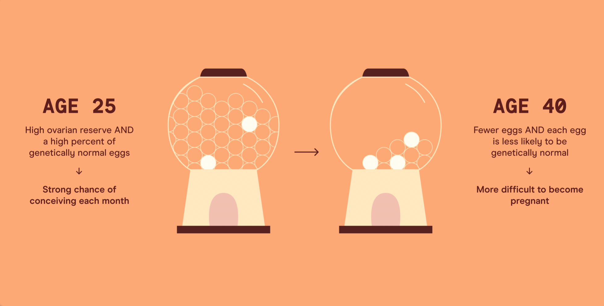 Does Age Impact Fertility?
