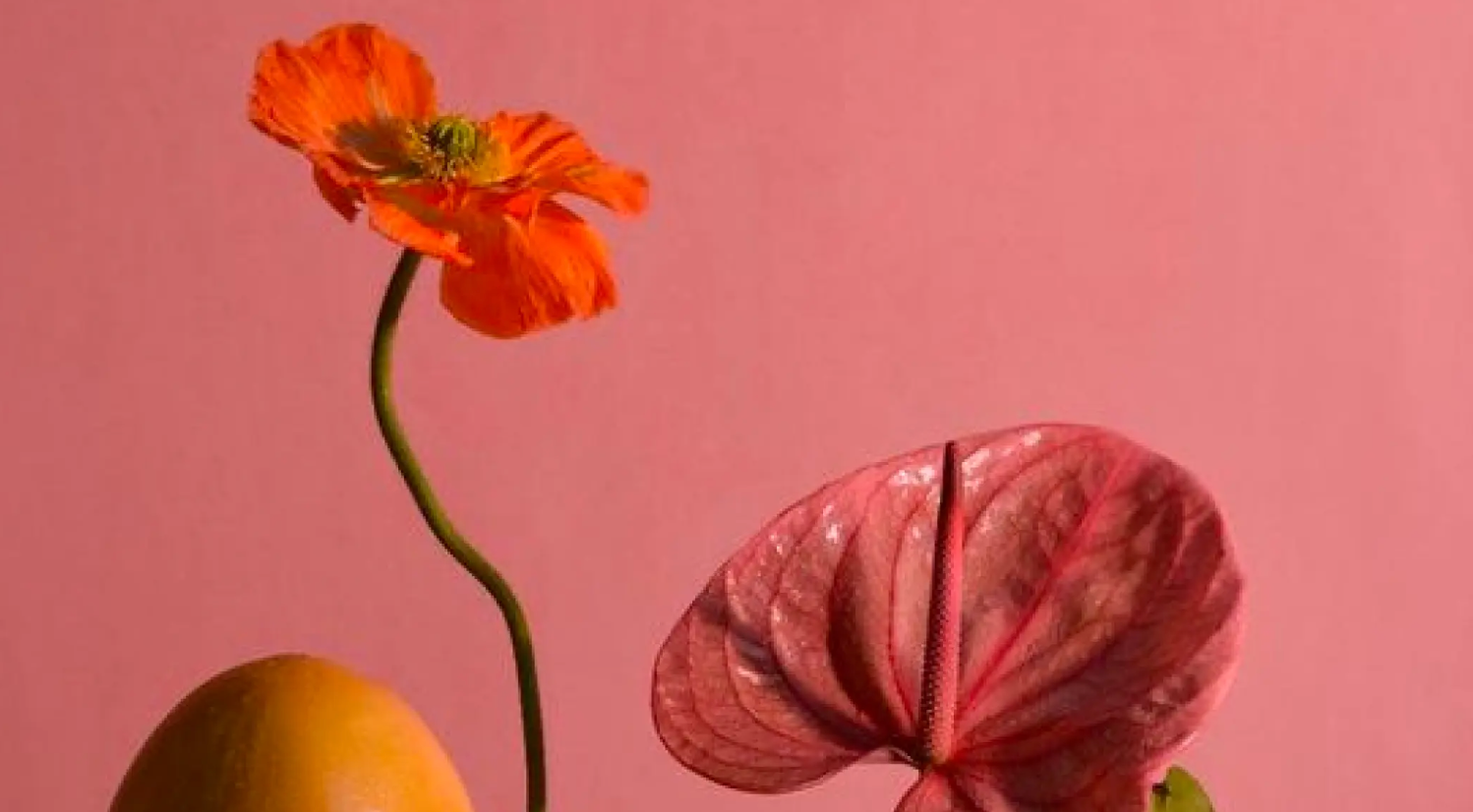 What are Top 6 Signs of High Fertility in Women? - Arva Health