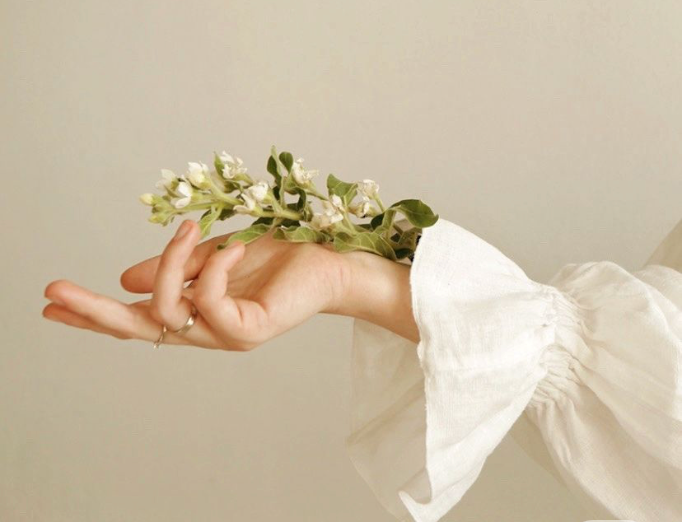 Understanding Ovarian Aging: What Every Woman Should Know About Her Fertility Timeline