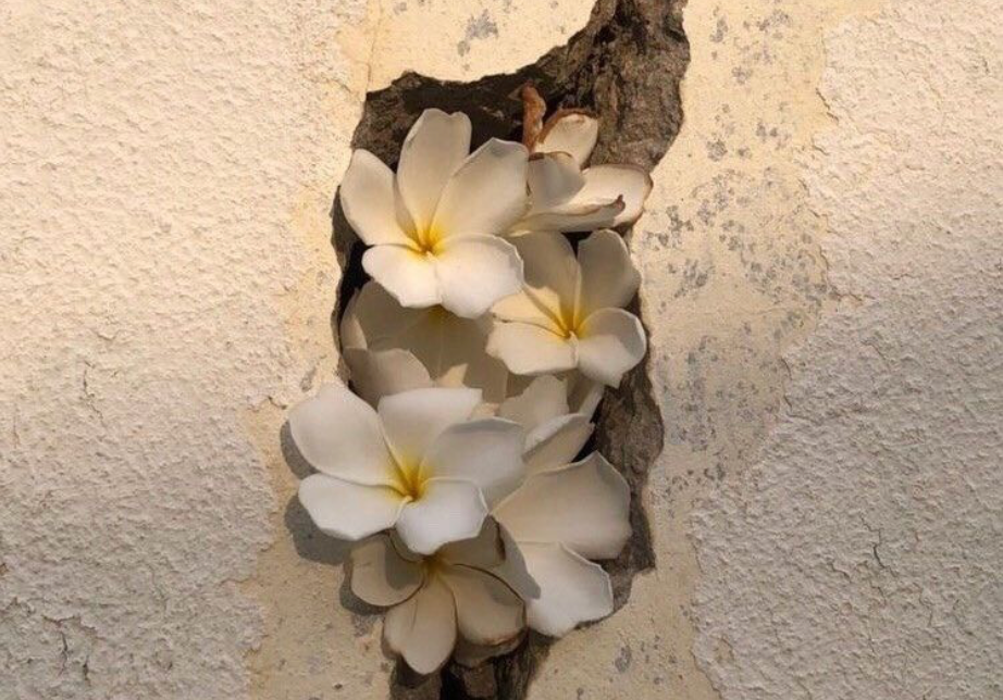 Fertility Abbreviations Explained: Your Complete TTC Glossary