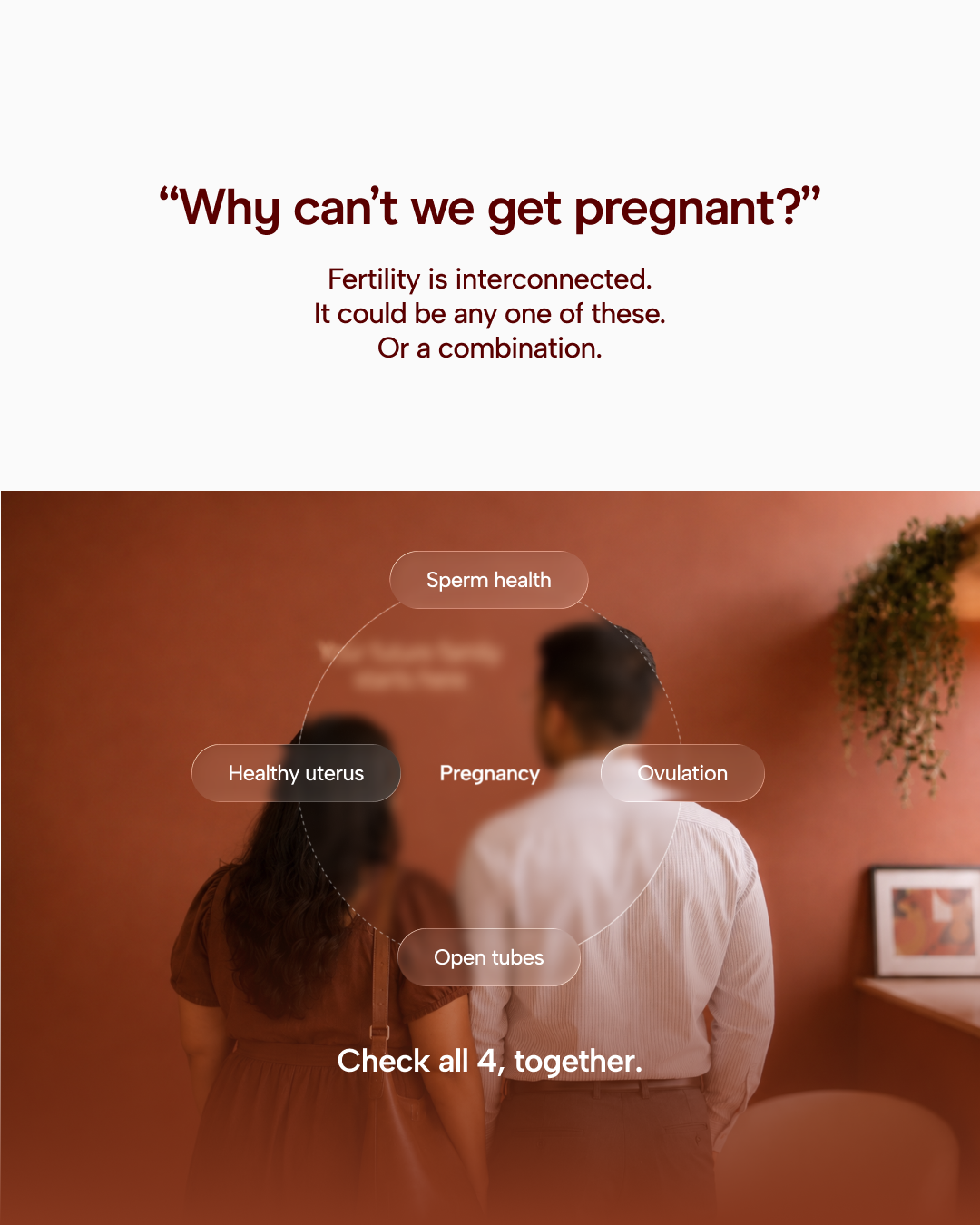 Arva Duo: Couples Fertility Check