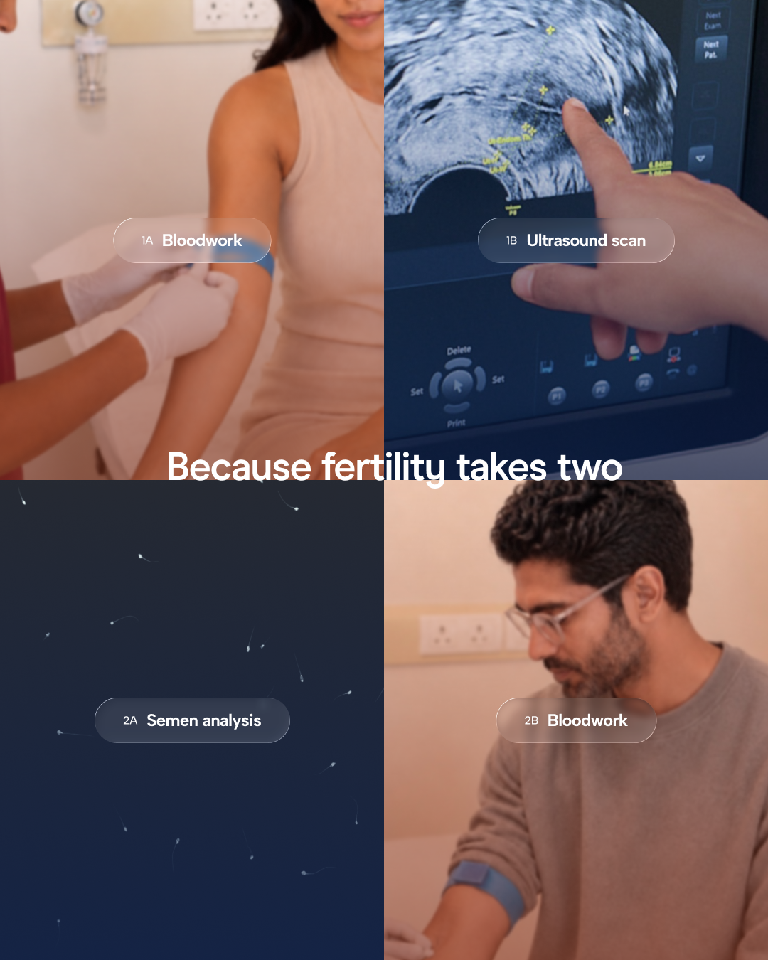 Arva Duo: Couples Fertility Check